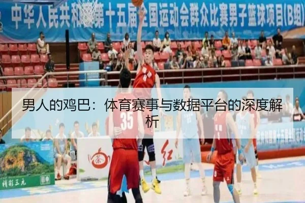 男人的鸡巴：体育赛事与数据平台的深度解析